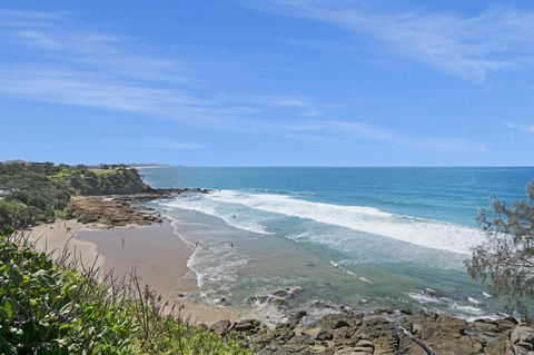 Pandanus Coolum Beach - Accommodation Tasmania 13