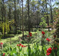 Werekataba - Accommodation Tasmania