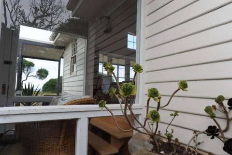 White Shell Cottage - Accommodation Tasmania 3