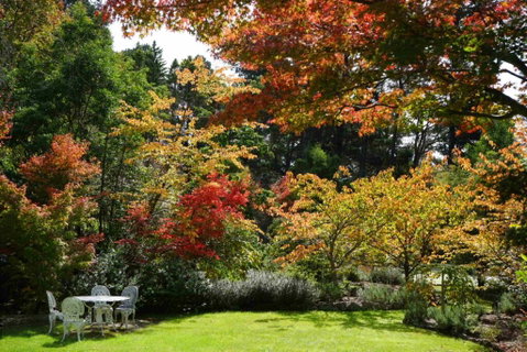 Wimbeldon - Accommodation Tasmania 3