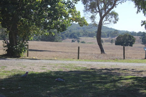 Wonky Stables Holiday Park - Accommodation Tasmania 2