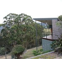 Woollybutt - Accommodation Tasmania