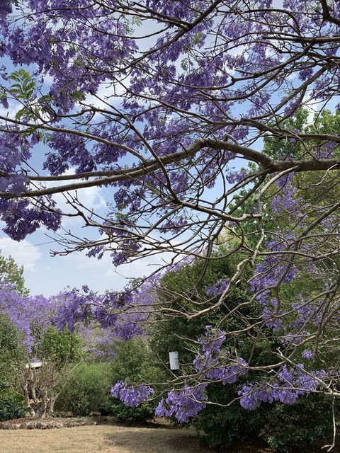 Wyndover Mountain Retreat - Accommodation Tasmania 1