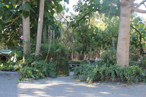 Avoca Park Equestrian Farmstay - Accommodation Tasmania 2