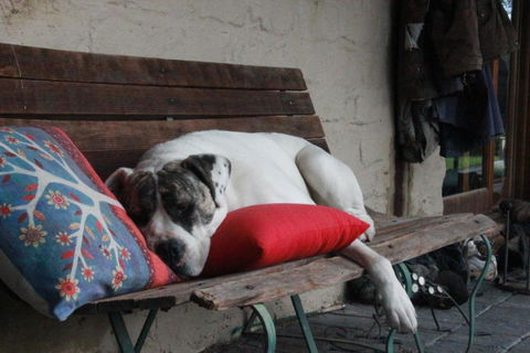 Avoca Park Equestrian Farmstay - Accommodation Tasmania 3