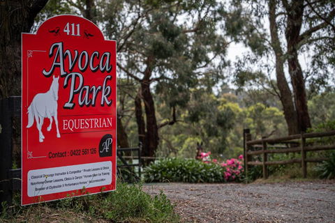 Avoca Park Equestrian Farmstay - Accommodation Tasmania 0