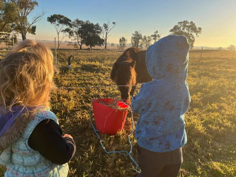 Avondale Heights By Tiny Away - Accommodation Tasmania 4