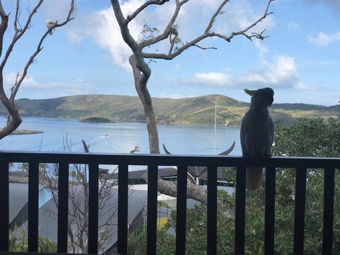 Casuarina Cove 18 - Accommodation Tasmania 9