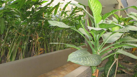 Edge Apartments Cairns - Accommodation Tasmania 39