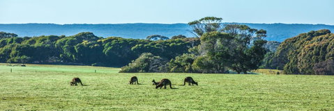 Hanson Bay Cabins - Accommodation Tasmania 23