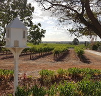 'In The Vines' Guest Cottage Barossa Valley - Accommodation Tasmania