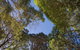 14a Little Cove Road - thumb 2