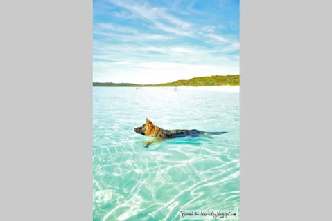 24 Hyam Road Hyams Beach - Accommodation Tasmania 1
