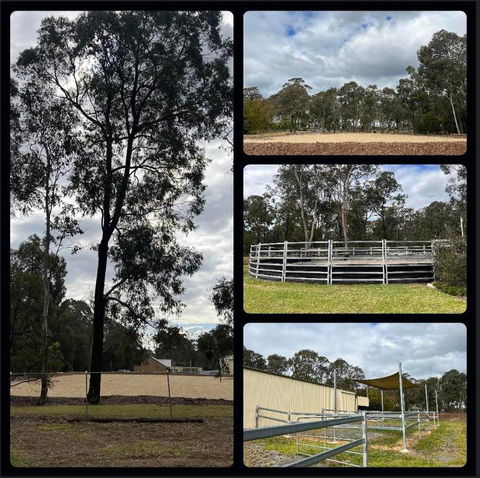 Caballo Retreat Cottage - Accommodation Tasmania 1