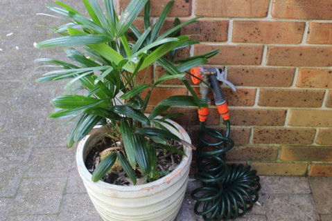 3 MELALEUCA - Accommodation Tasmania 2