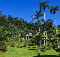 A Daintree Garden - Accommodation Tasmania