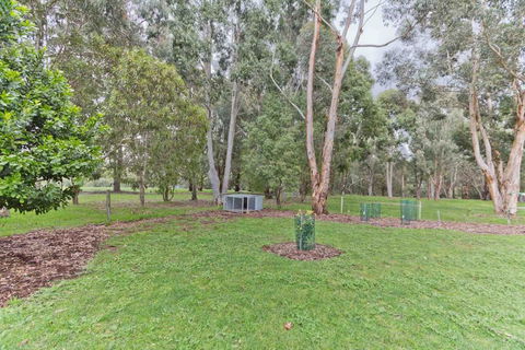 A Grape Escape - Accommodation Tasmania 3