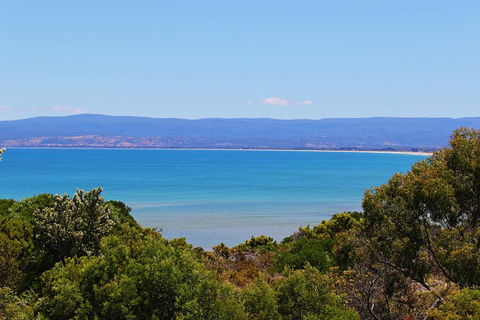 Acacia Cottage - Accommodation Tasmania 1
