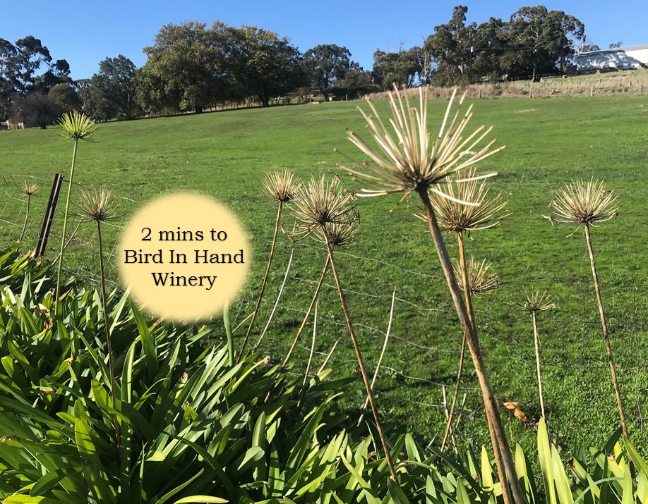 Harrogate SA Accommodation Tasmania