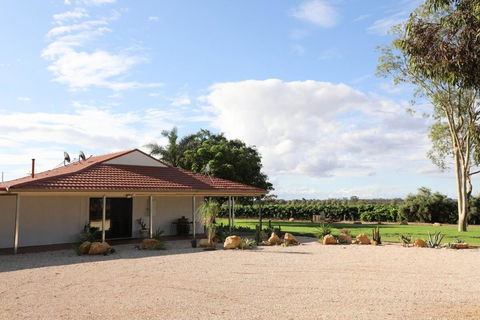 Dreamy Abode - Vineyard Retreat - Accommodation Tasmania 0