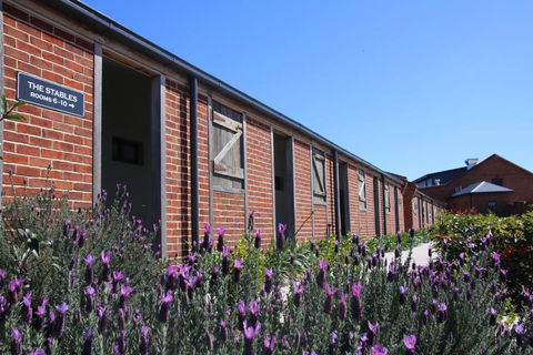 Dusty Hill Vineyard - Moffatdale - Accommodation Tasmania 0