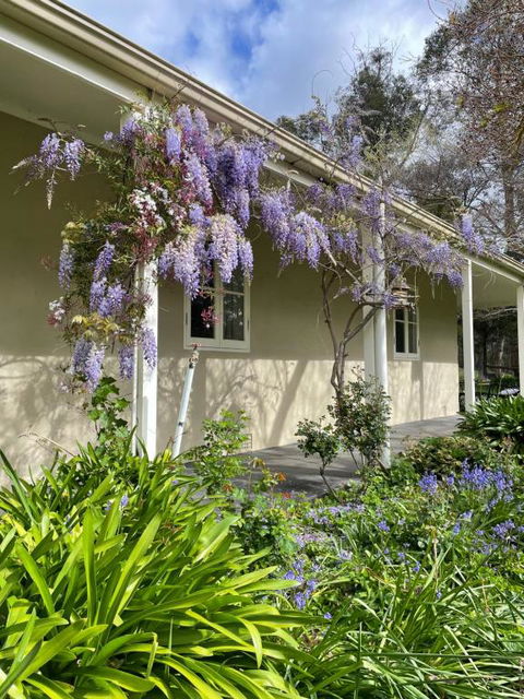 Fleetwood Cottage Bed And Breakfast - Accommodation Tasmania 4