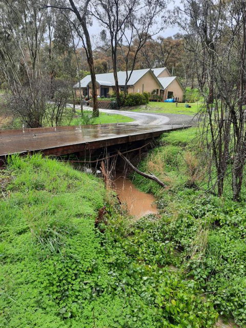 Frogmouth Hollow - Accommodation Tasmania 4