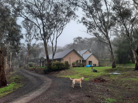 Frogmouth Hollow - Accommodation Tasmania 0