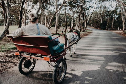 Gums N Roses By Tiny Away - Accommodation Tasmania 1