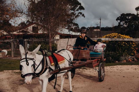 Gums N Roses By Tiny Away - Accommodation Tasmania 3