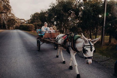 Gums N Roses By Tiny Away - Accommodation Tasmania 2