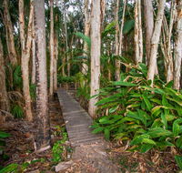 Agnes Palms Accommodation - Accommodation Tasmania