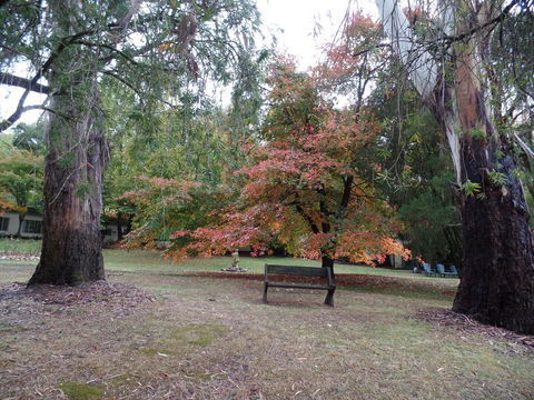 Alpine Park Riverside Cottages - Accommodation Tasmania 2