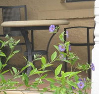 Amalie Cottage Waikerie - Accommodation Tasmania