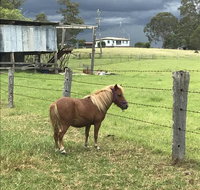 AMs Farm Stay - Accommodation Tasmania