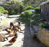 Anchorage Apartments - Accommodation Tasmania