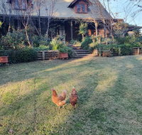 Angaston by the Winter Creek - Accommodation Tasmania