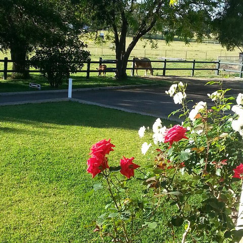 Appin Homestay B & B - Accommodation Tasmania 3