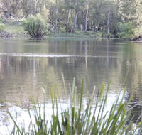 Arcadian Cabin - Southern Highlands River Retreat - Accommodation Tasmania