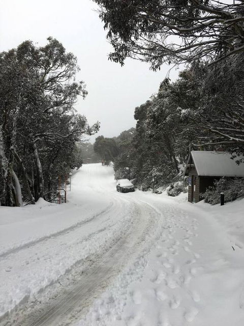 MAGNIFICENT SKIING ON MOUNT BULLER - Accommodation Tasmania 3