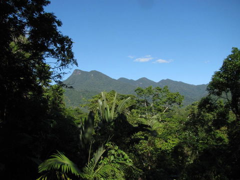 Mossman Gorge Bed And Breakfast - Accommodation Tasmania 0