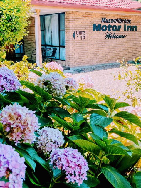 Muswellbrook Motor Inn - Accommodation Tasmania 0