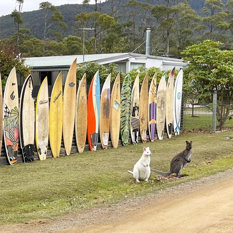 NOFOMO AT ADVENTURE BAY - Accommodation Tasmania 0