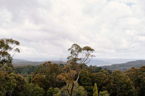 Osborn House - Accommodation Tasmania 1