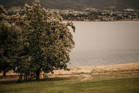 Otago Cottage - Accommodation Tasmania 3