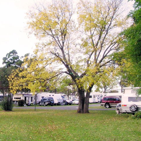 Poplar Tourist Park - Accommodation Tasmania 2