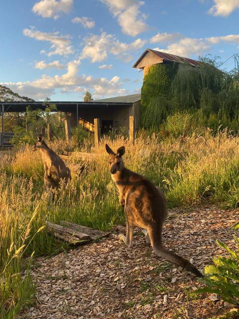 Private Country Escape With Valley Views - Accommodation Tasmania 2