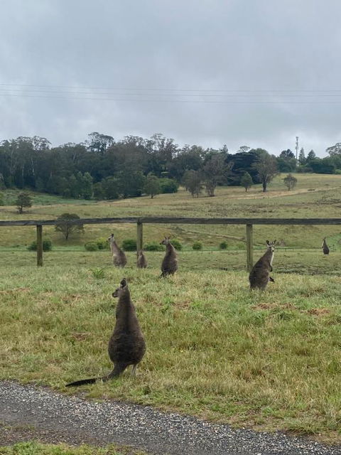 Private Country Escape With Valley Views - Accommodation Tasmania 1