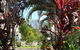 Asylum Cairns Hostel - thumb 0