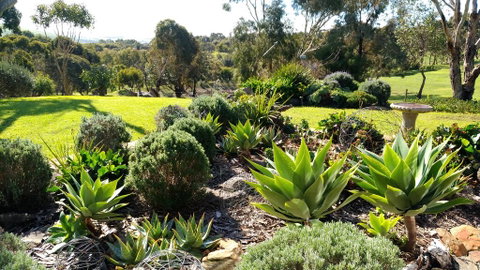 Austiny Bed And Breakfast Victor Harbor - Accommodation Tasmania 2